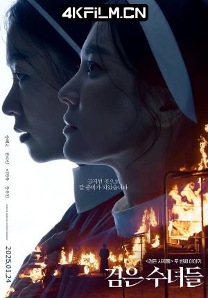 4Kfilm视界影视封面.jpg