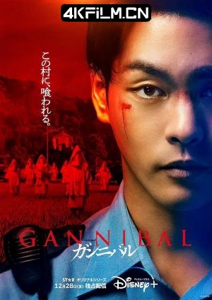 4Kfilm视界影视封面.jpg