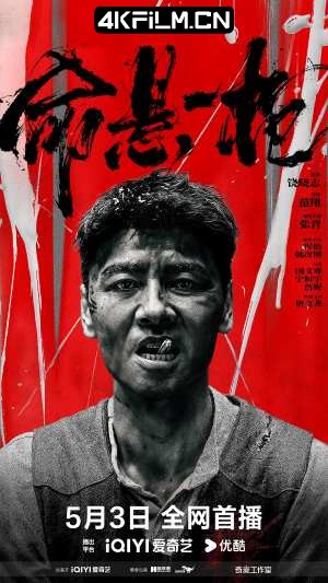 4Kfilm视界影视封面.jpg