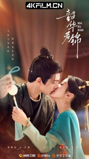 4Kfilm视界影视封面.jpg