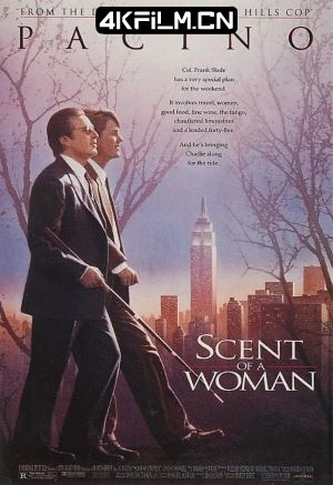 4Kfilm视界影视封面.jpg