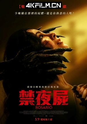 4Kfilm视界影视封面.jpg