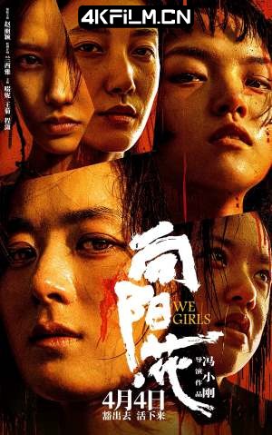 4Kfilm视界影视封面.jpg