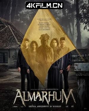 4Kfilm视界影视封面.jpg