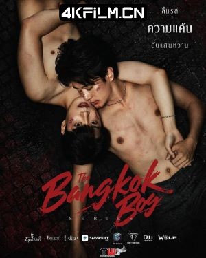 4Kfilm视界影视封面.jpg