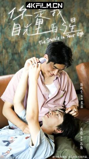 4Kfilm视界影视封面.jpg