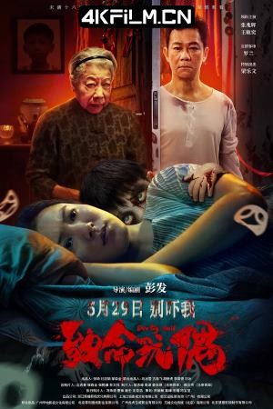 4Kfilm视界影视封面.jpg