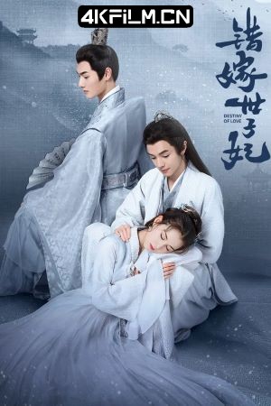 4Kfilm视界影视封面.jpg