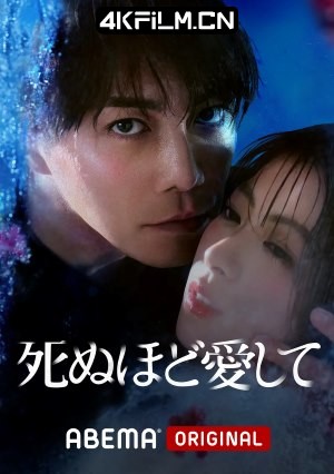 4Kfilm视界影视封面.jpg