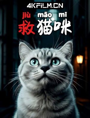 4Kfilm视界影视封面.jpg