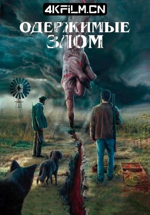 4Kfilm视界影视封面.jpg
