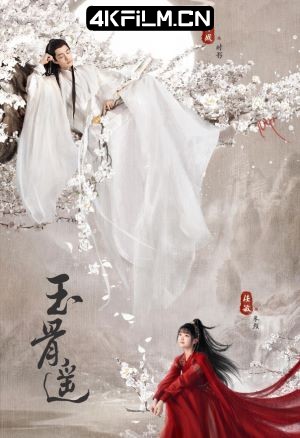 4Kfilm视界影视封面.jpg