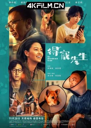 4Kfilm视界影视封面.jpg