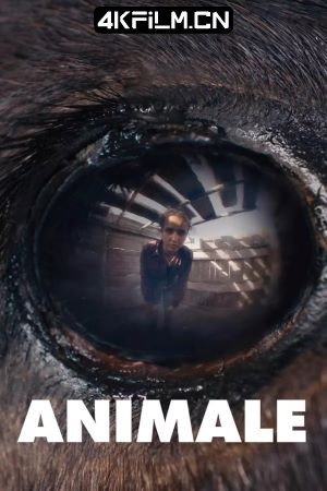 4Kfilm视界影视封面.jpg