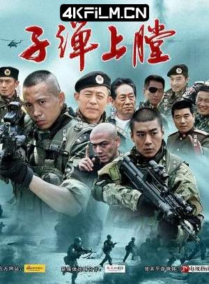 4Kfilm视界影视封面.jpg