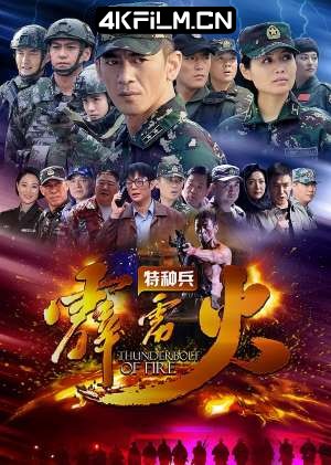 4Kfilm视界影视封面.jpg