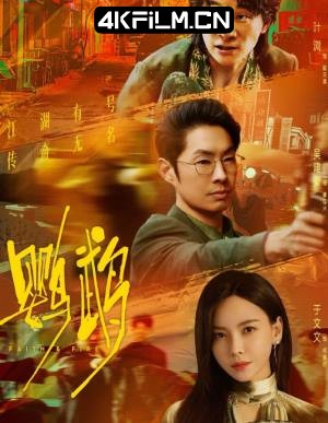 4Kfilm视界影视封面.jpg