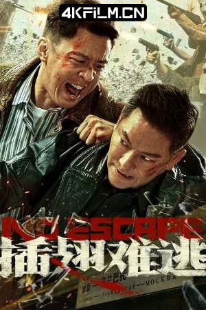 4Kfilm视界影视封面.jpg