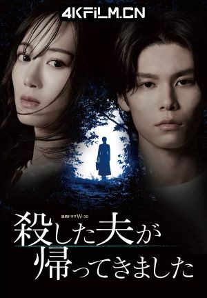 4Kfilm视界影视封面.jpg