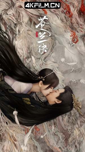 4Kfilm视界影视封面.jpg