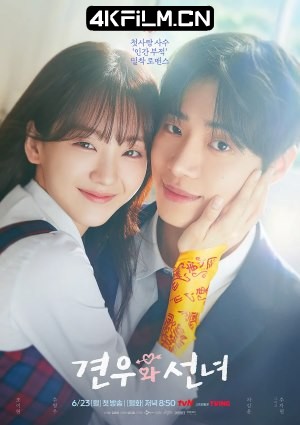 4Kfilm视界影视封面.jpg
