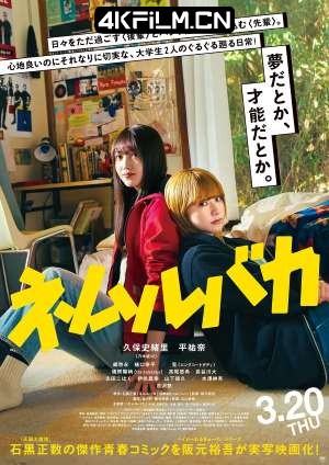 4Kfilm视界影视封面.jpg