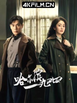 4Kfilm视界影视封面.jpg