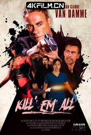 4Kfilm视界影视封面.jpg