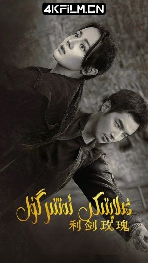 4Kfilm视界影视封面.jpg