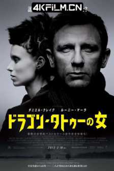 龙纹身的女孩 The Girl with the Dragon Tattoo (2011) 千禧三部曲I：龙纹身的女孩(台)/龙纹身女孩/杜比视界电影下载