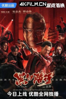 黑白潜行 (2024) / 高清电影网站/The Grey Men / 4K电影下载 / The.Grey.Men.2024.2160p.HQ.WEB-DL.H265.AAC.2Audio