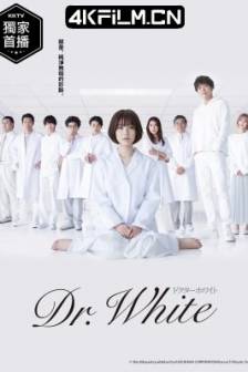 白夜医生 ドクター・ホワイト (2022)Dr. White / 日本 / 剧情