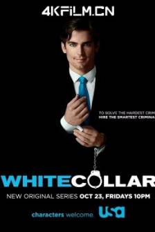 妙警贼探 1-6季 White Collar Season 1 (2009-2014)不是冤家不聚头 / 美国 / 剧情 / 喜剧 / 悬疑 / 犯罪 / 高清影视剧下载