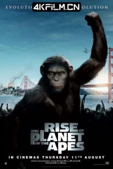 猩球崛起 Rise of the Planet of the Apes (2011)猿人争霸战：猩凶革命(港) / 猿族崛起 / 猩团的崛起 / 猩星新兴(豆友译名) / Rise of the Apes / 美国 / 剧情 / 动作 / 科幻 / 4K高清电影下载