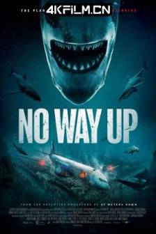 深渊鲨难 No Way Up (2024) 无路可逃/英国/动作/ 冒险/灾难/4K高清电影下载