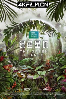 绿色星球 /高清4K电影网站/The.Green.Planet.S01.2160p.BluRay.REMUX.HEVC.DTS-HD.MA.TrueHD.7