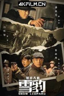 雪豹之暗战天机 (2021)中国大陆 / 动作 / 历史 / 战争 / 4K电影下载