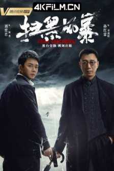 扫黑风暴 (2021) Crime Crackdown/夸克网盘/电视剧下载