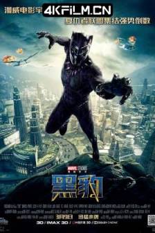 黑豹 Black Panther (2018)美国 / 南非 / 动作 / 科幻 / 冒险 / 4K电影下载网