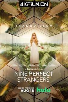 九个完美陌生人 第一季 Nine Perfect Strangers Season 1 (2021)美国 / 剧情 / 悬疑 / 惊悚 / 4K影视剧下载