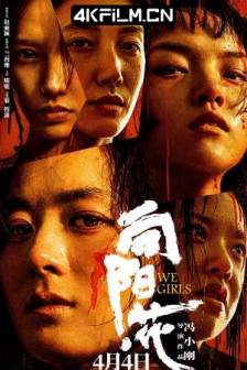 向阳·花 (2025)出狱女子的故事 / We Girls / 中国大陆 / 剧情 / 犯罪 / 4K高清电影下载