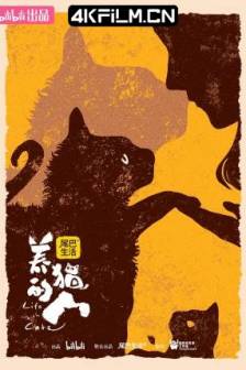 养猫的人（2024）Life with Cats/中国大陆/纪录片