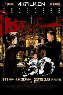 一代宗师 一代宗師 (2013) 一代宗师3D/一代宗师终极版/The Grandmaster/BluRay REMUX 1080p AVC DTS-HDMA7.1/蓝光原盘