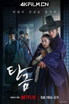 吞金 탄금 (2025)Dear Hongrang / 韩国 / 剧情 / 爱情 / 悬疑 / 古装 / 4K影视网