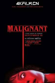 致命感应 Malignant (2021)恶煞(港) / 疾厄(台) / 肿瘤侠 / 恶毒 / 恶性 / 肿瘤 / Malignant Man / 美国 / 中国大陆 / 悬疑 / 恐怖 / 4K视频资源网