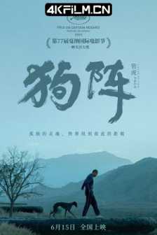 狗阵 (2024) 狗镇/斗狗/4K华语电影下载Black Dog/2160p.WEB-DL.DDP2.0.H265.60fps