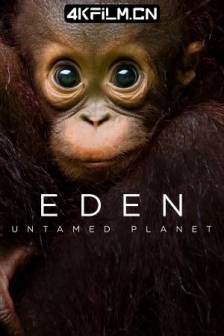 伊甸园：最后的秘境 Eden: Untamed Planet (2021)英国/纪录片