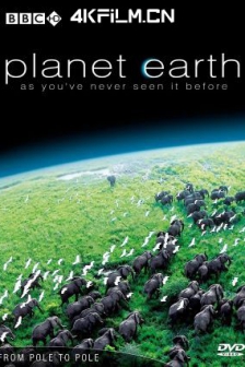 地球脉动 第一季 Planet Earth Season 1 (2006) / 行星地球 / 我们的地球 / 地球无限 / 地球动脉 / 地球无垠 / 地球的力量 / 高清4K电影网站/Planet.Earth.S01.SE.1080i.BluRay