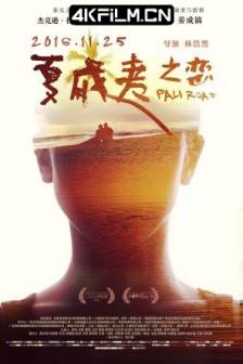 夏威夷之恋 The Pali Road (2016) 未知人生/Life Unknown/The Meaning of Aloha/美国/中国大陆/爱情/悬疑/4K电影下载