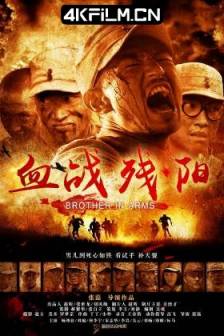 血战残阳 (2013)Brother in Arms / 中国大陆 / 剧情 / 战争 / 4k电影下载